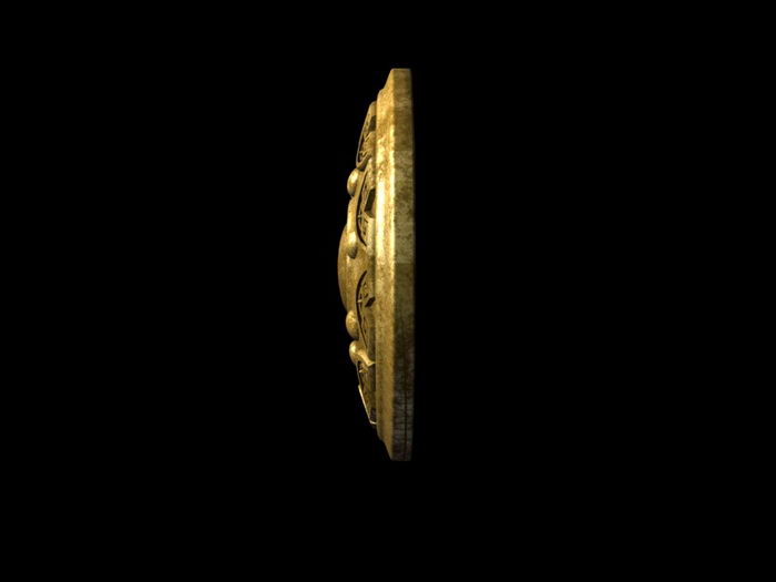 Brass Round Shield 3d rendering