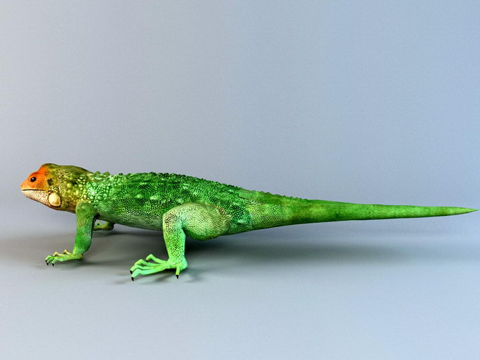 Gecko Lizard 3d rendering