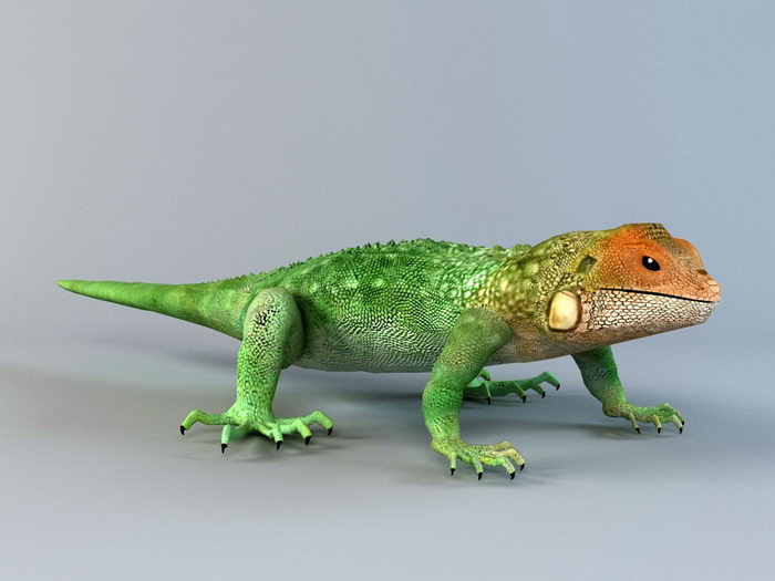 Gecko Lizard 3d rendering