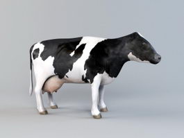 Holstein Friesian Cattle 3d model preview