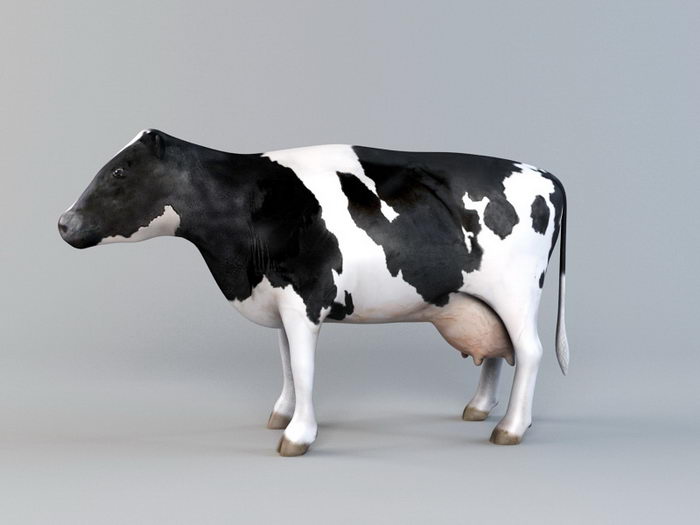 Holstein Friesian Cattle 3d rendering