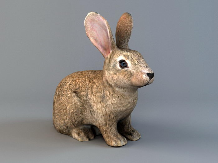 Brown Rabbit 3d rendering