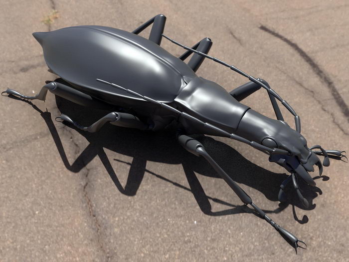Weevil Beetle 3d rendering