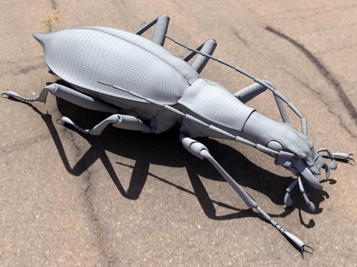 Weevil Beetle 3d rendering