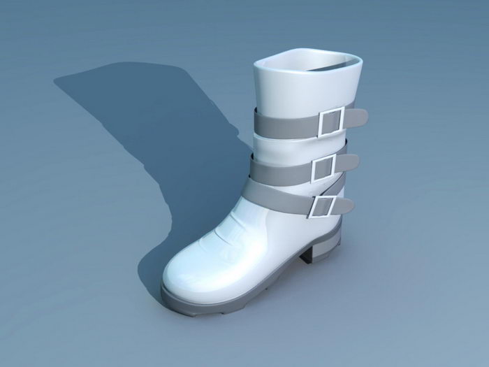 Wellington Boot 3d rendering