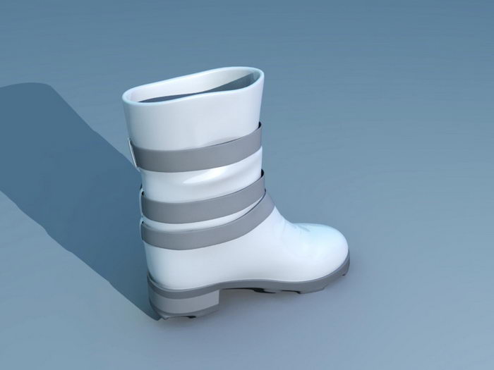 Wellington Boot 3d rendering