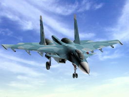 Su-33 Fighter Aircraft 3d model preview