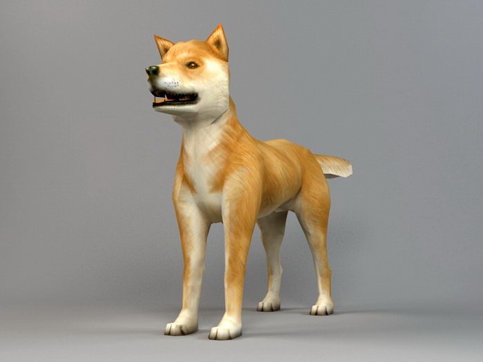 Akita Dog Biped Bones 3d rendering