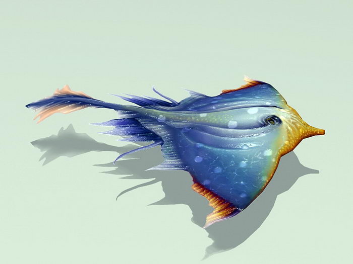 Manta Ray Rigged and Animated 3d rendering