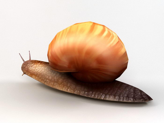 Orange Snail 3d rendering