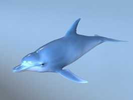 Blue Dolphin Rig 3d model preview