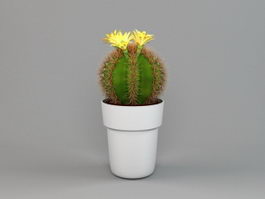 Potted Cactus Plant 3d model preview