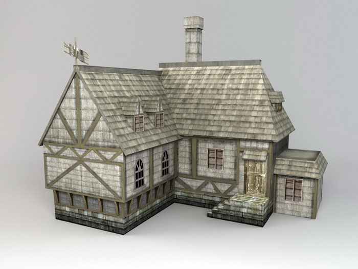 Medieval Dwelling 3d rendering