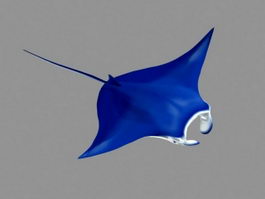 Blue Manta Ray 3d model preview
