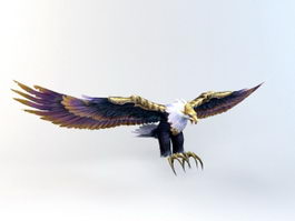 War Eagle 3d model preview