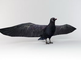 Raven Bird 3d model preview