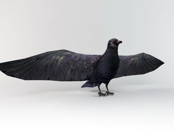 Raven Bird 3d rendering