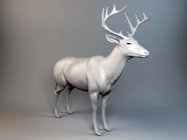 Red Deer Stag 3d preview