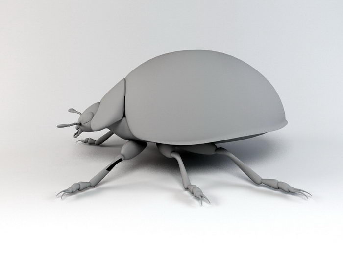 Ladybug Beetle 3d rendering