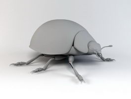 Ladybug Beetle 3d preview