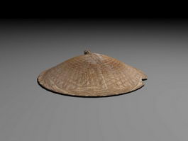 Asian Bamboo Hat 3d preview