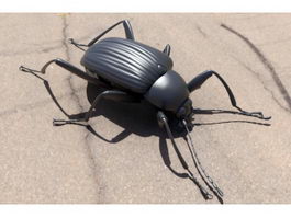 Dascilloidea Beetle 3d model preview