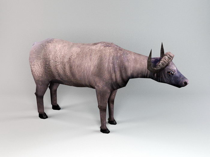 Cape Buffalo 3d rendering