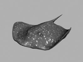 Animated Stingray Rig 3d model preview