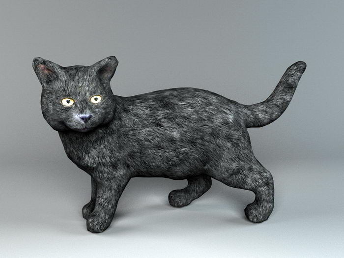 Black Cat 3d rendering