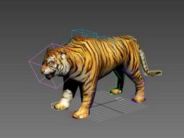 Tiger 3d model free download - CadNav