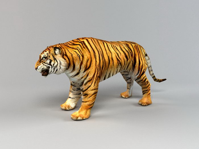 Low Poly Tiger Rigged 3d rendering