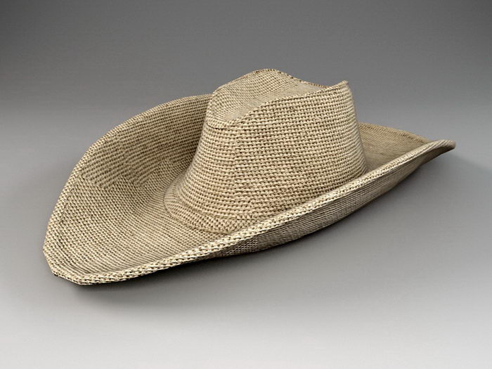 Cowboy Hat 3d rendering