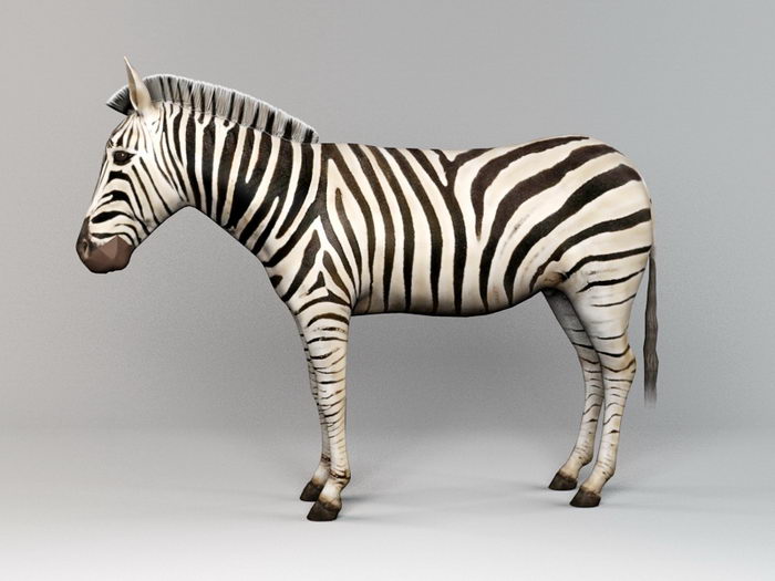 African Zebra 3d rendering