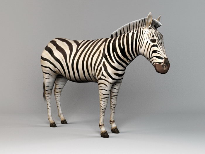 African Zebra 3d rendering