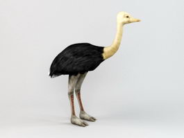 Cute Ostrich 3d preview