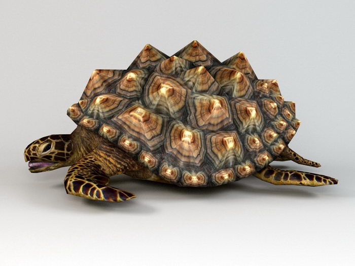 Yellow and Black Turtle 3d rendering