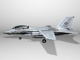 Grumman F-14 Tomcat Fighter 3d preview