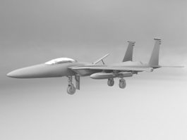 Fighter Aircraft 3D Model