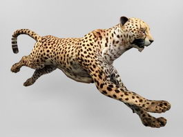 Animated Leopard Rig 3d preview