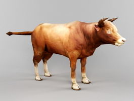 Brown Cattle 3d model preview