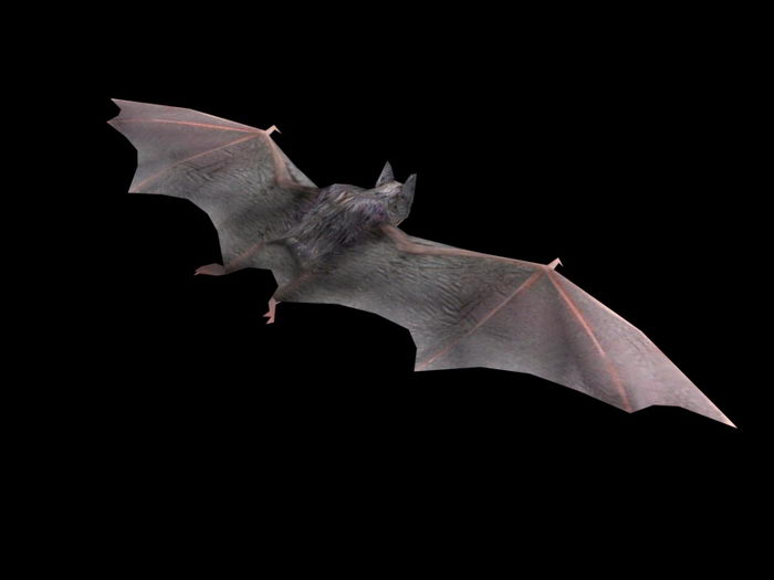 Giant Bat 3d model 3ds Max,Object files free download - CadNav