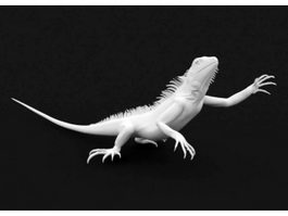 White Lizard 3d preview