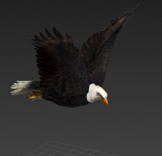 Flying Eagle Rig 3d rendering