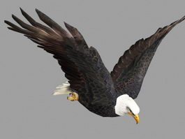 Flying Eagle Rig 3d model preview