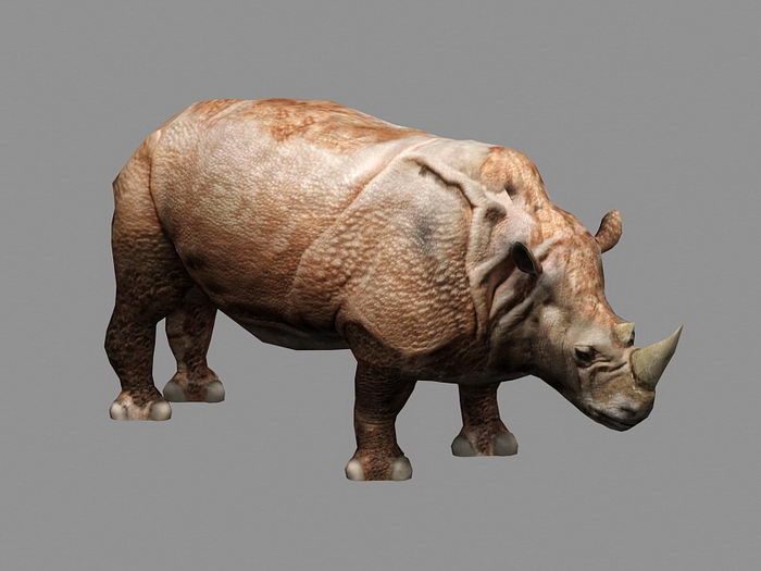 textures for rhino download free