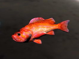 Animated Rockfish Rig 3d model preview