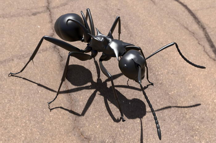 Black Ant 3d rendering
