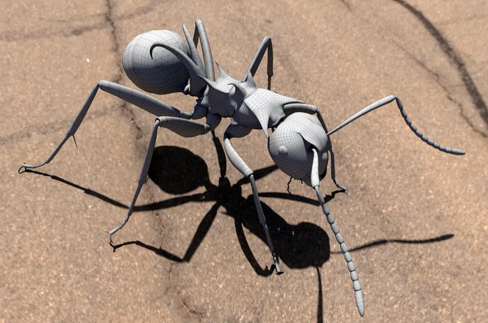Black Ant 3d rendering