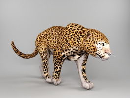 Jaguar Animal 3d preview