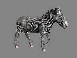 Zebra 3d Model Free Download Cadnav